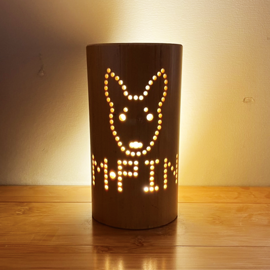 ミニピン TR-108